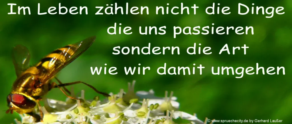 Glückwünsche Jubiläum Sprüche Gratulation Betriebsjubiläum Jubiläumsrede